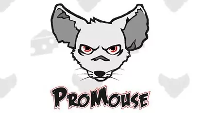 ProMouse Twitch Design