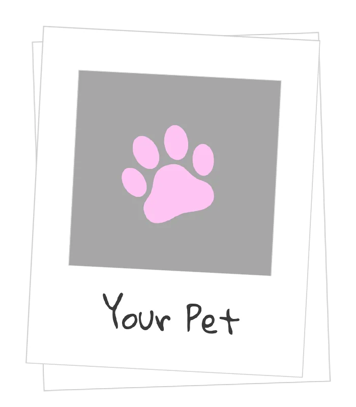 Create Your Own Streamer Pet