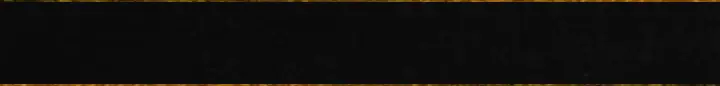 Halloween Overlay - Image #7